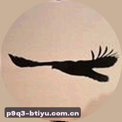 周婷